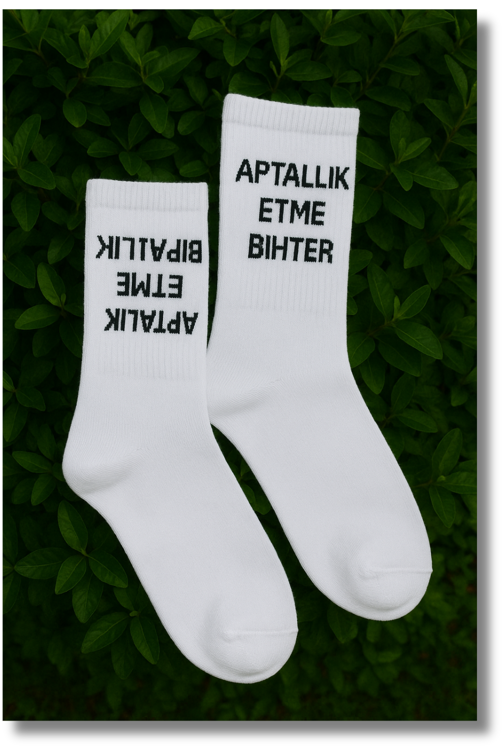 Aptallik Etme Bihter Sokcs